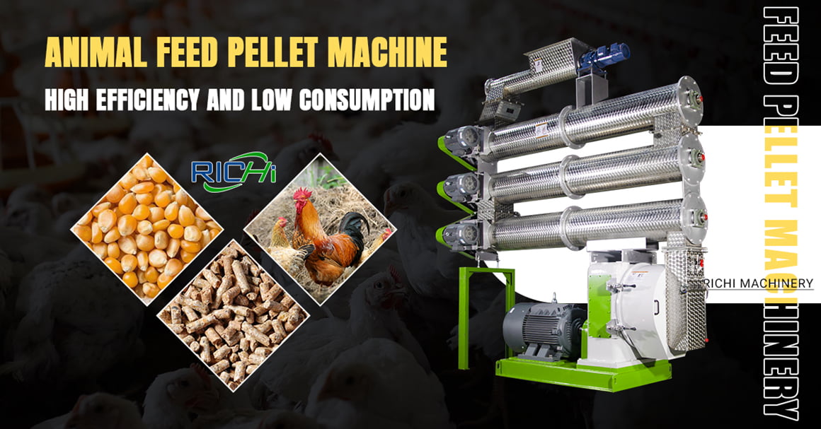 animal feed pellet machine
