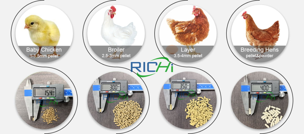 chicken feed pellet