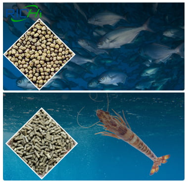 fish pellet and shrimp pellet