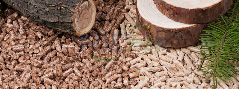 beech wood pellets