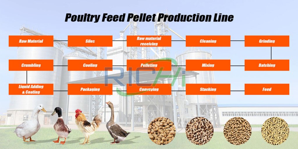 Poultry Production Label Poultry Feed Manufacturing Plant - RICHI MACHINERY