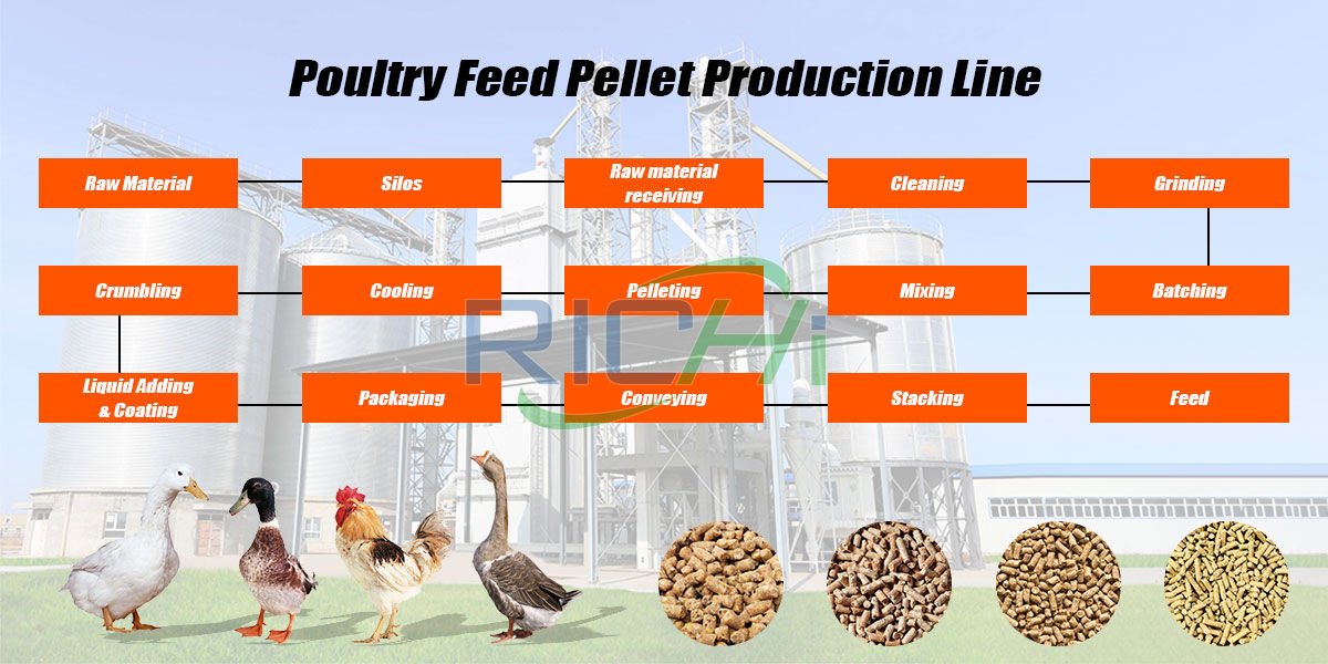 poultry feed pellet production line