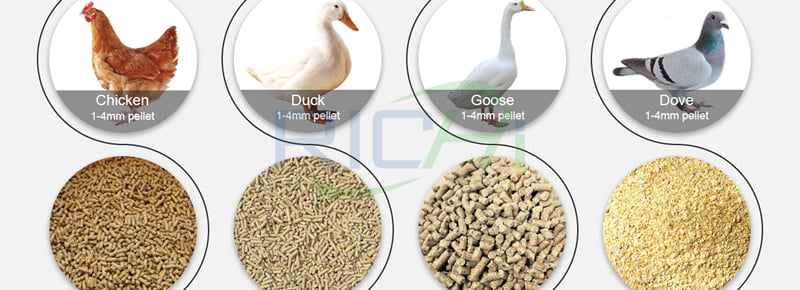poultry feed pellets