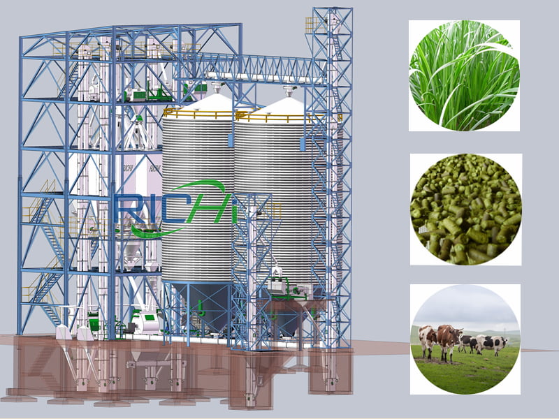 Cattle Feed Processing Plant