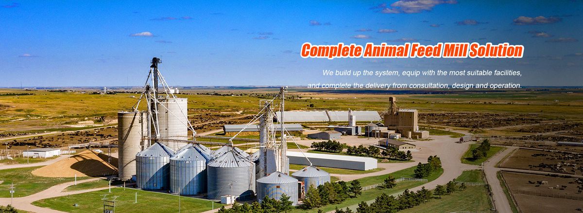 Customer-Oriented Service RICHI Aquatic Feed Pellet Plant