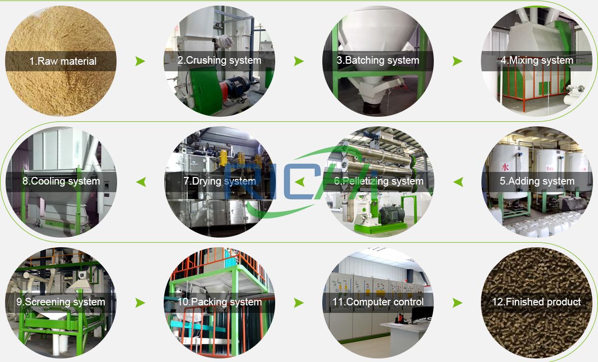 Process flow of aquatic feed pellet plant