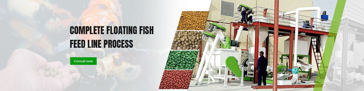 floating fish feed line process