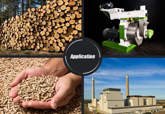 sawdust wood pellet production project