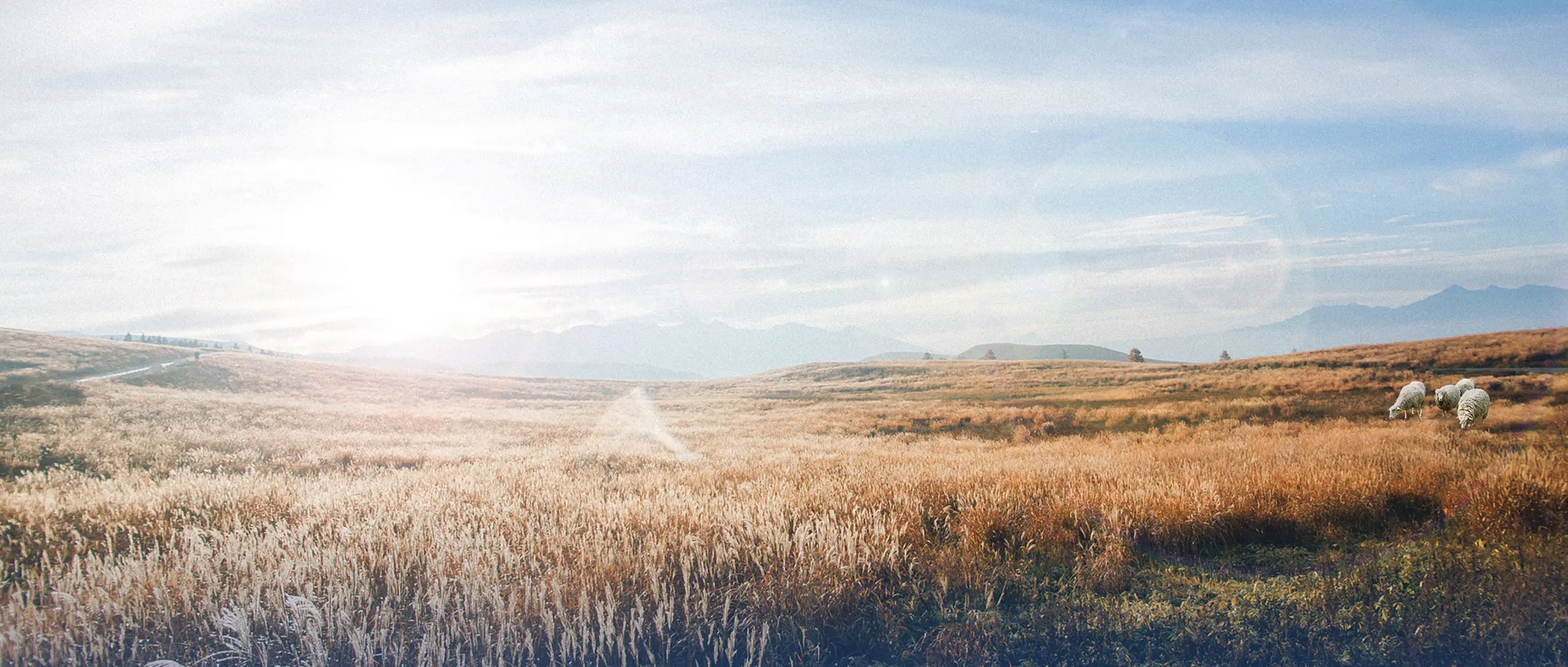 banner of animal feed pellet press