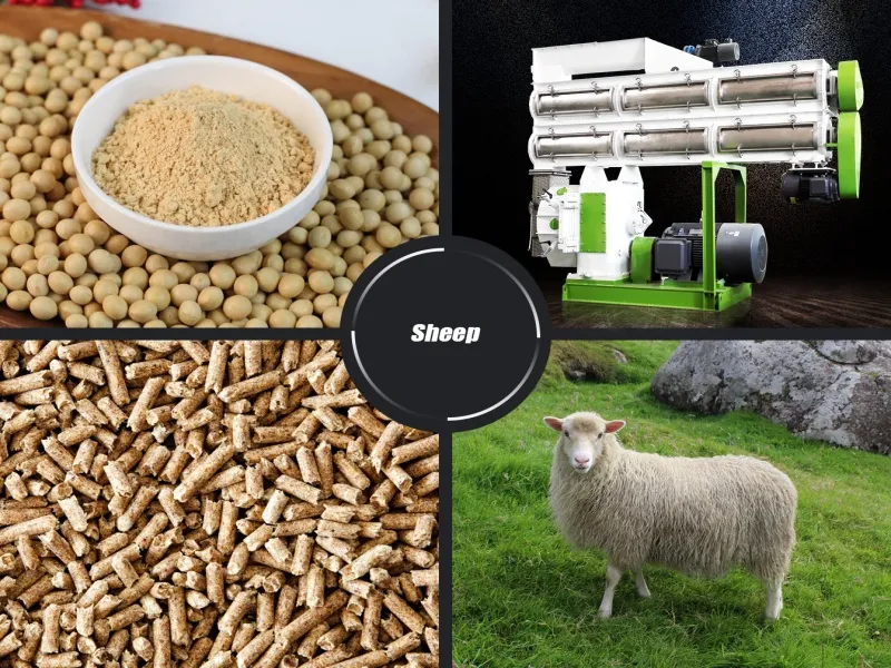 SZLH Series Goat Feed Pellet Making Machine