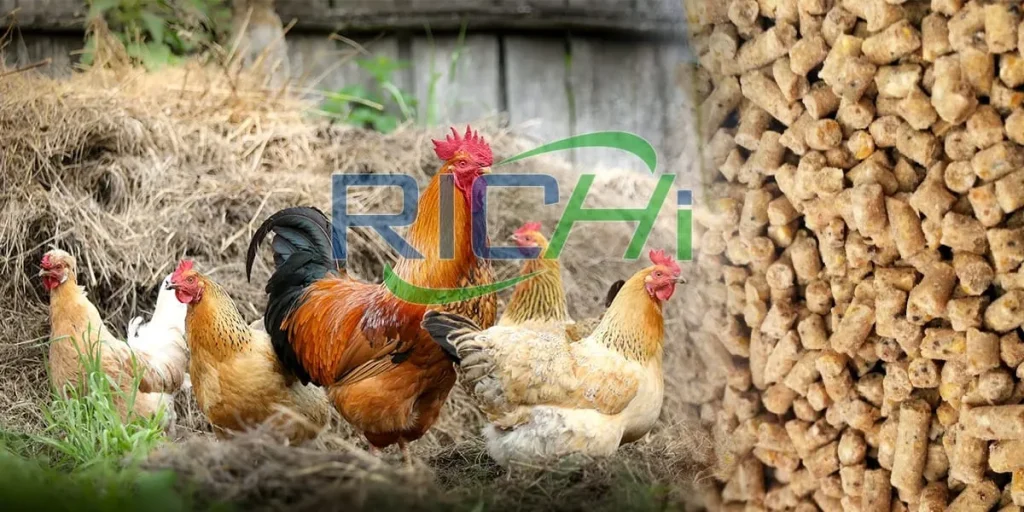chicken pellet