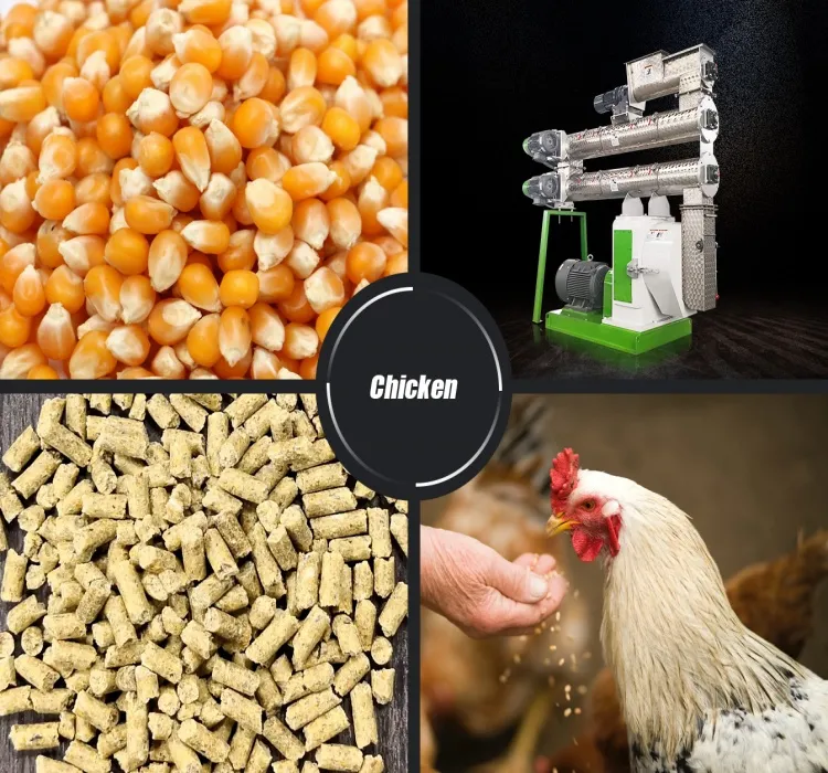 raw material and final pellets