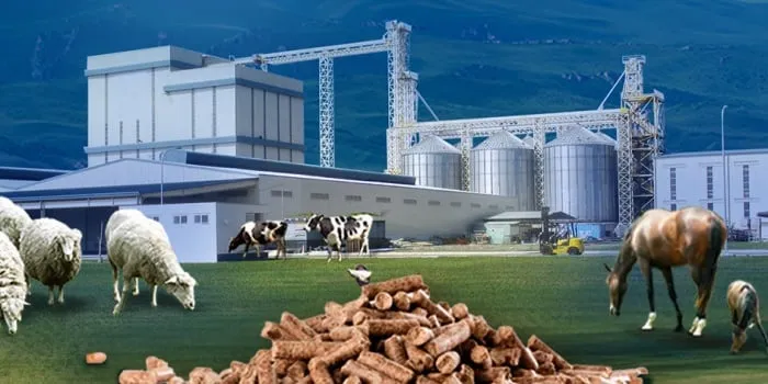 feed production line-background