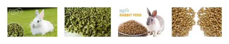 rabbits adn pellets