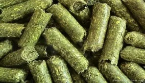 rabbit pellets