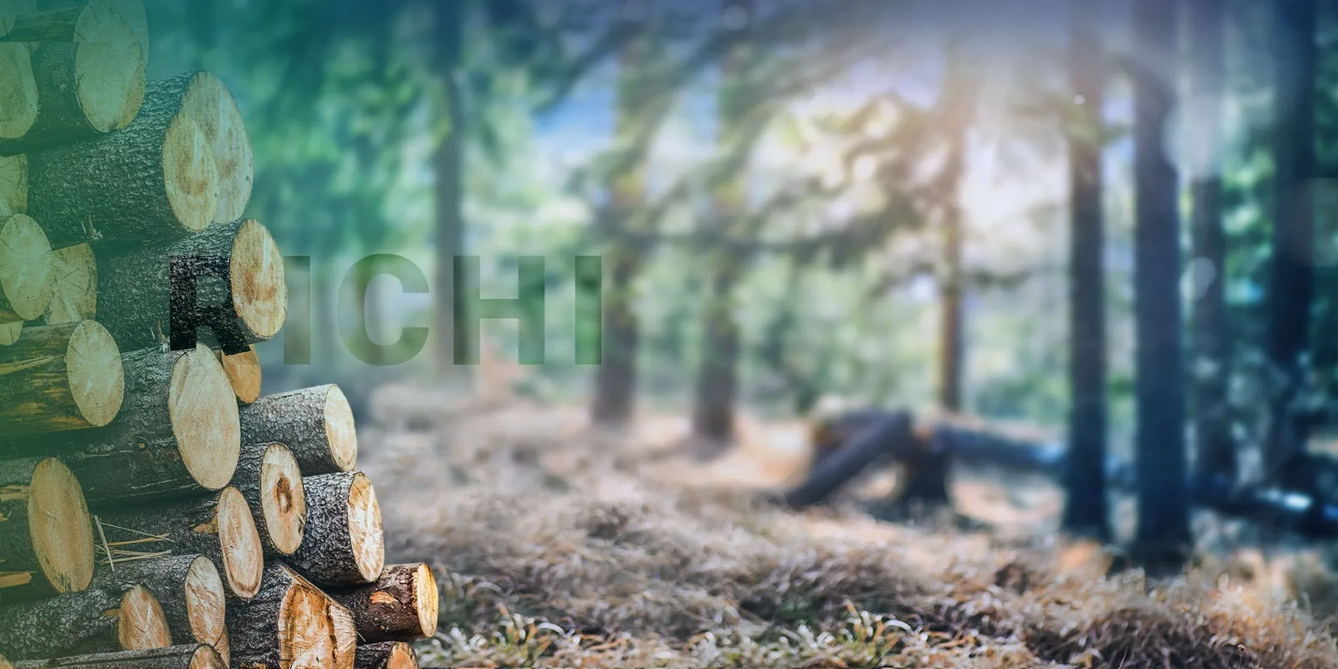 the banner of wood pellet press machine