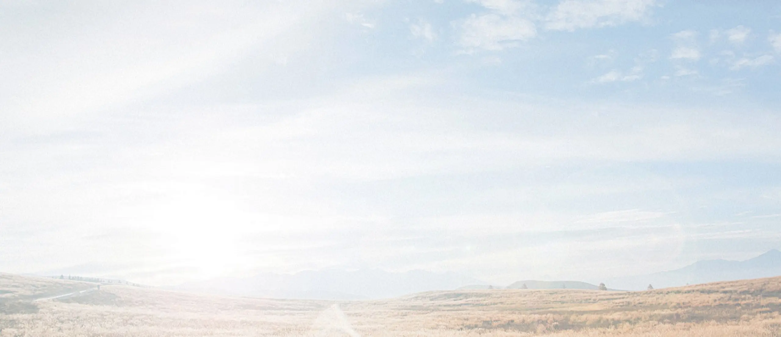 4TH Chicken Feed Pellet Production Line Background
