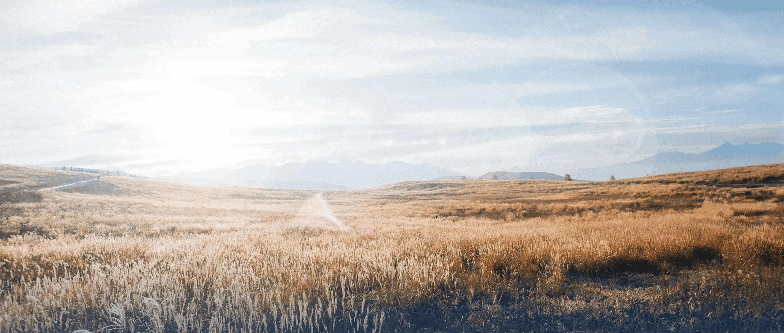 Banner of Hay Pellet Machine For Sale