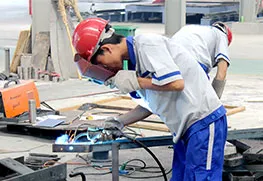 Professional Workers