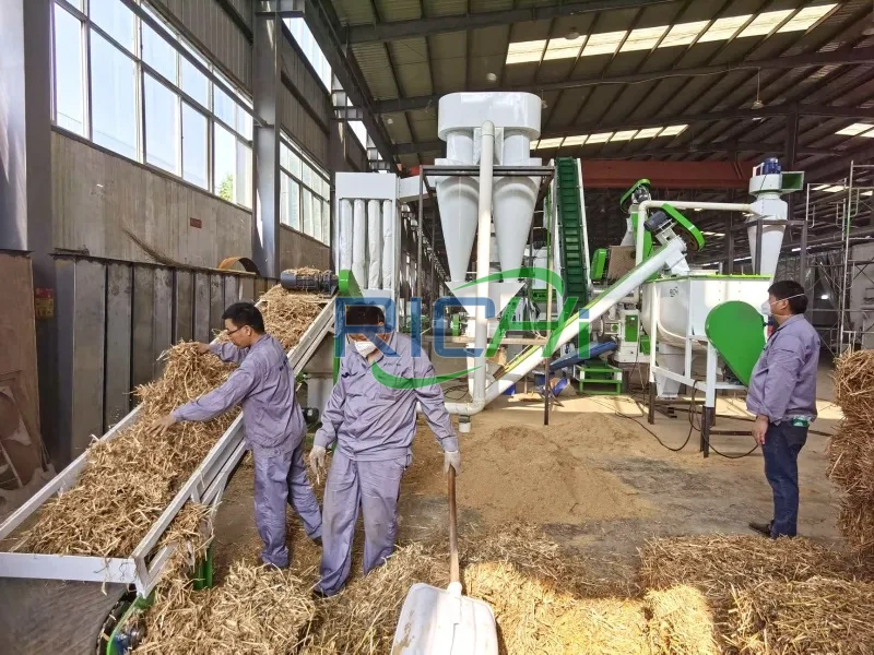 Rice Husk and Rice Straw Pellet Mill Project Case