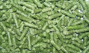 alfalfa pellet