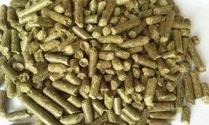 alfalfa pellets