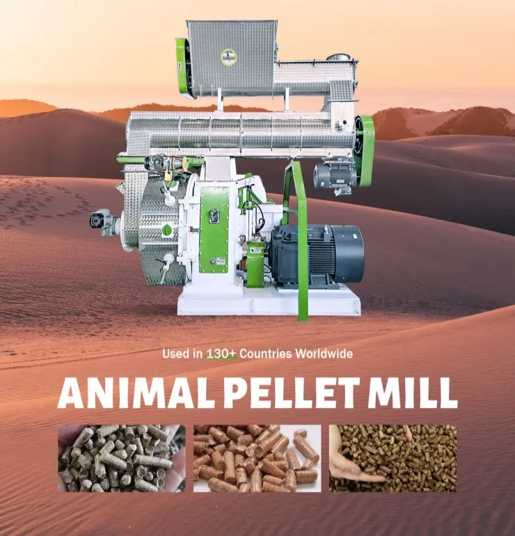 Animal Feed Pellet Mill For Sale