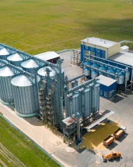 shrimp feed plant