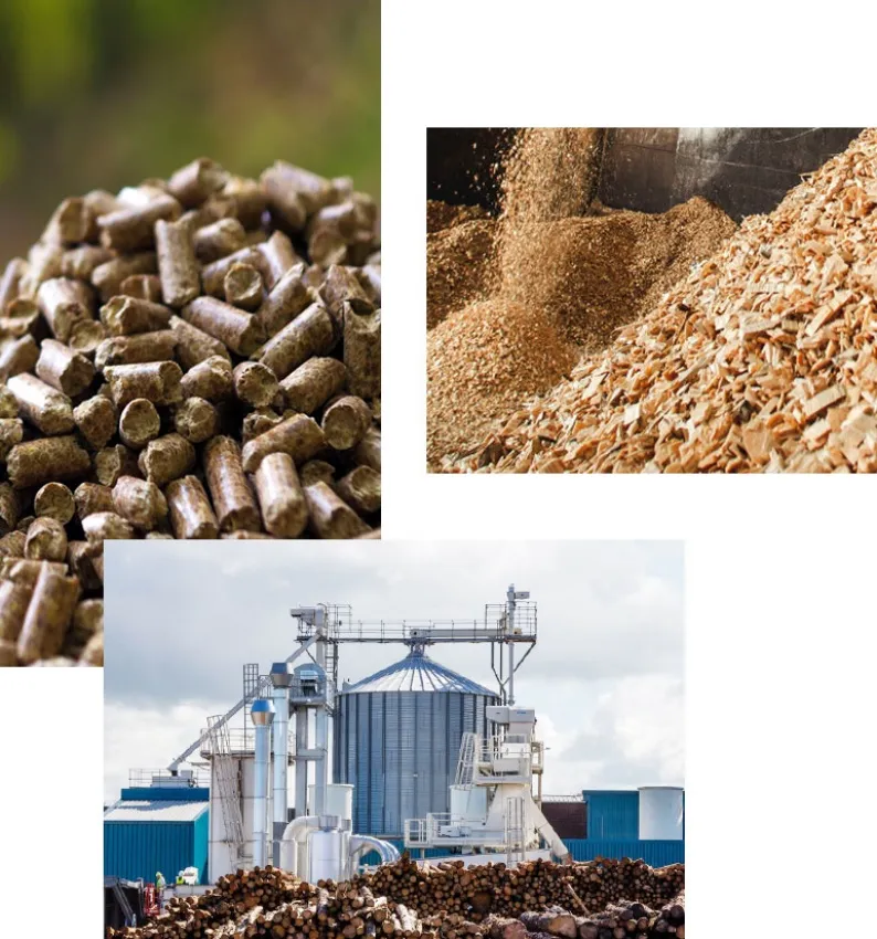 biomass pellets and biomass plant