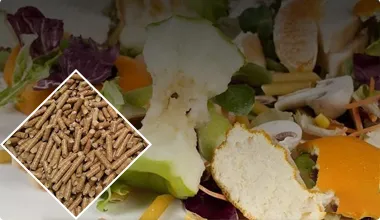 fruit peel waste and pellets