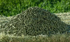 hay pellets