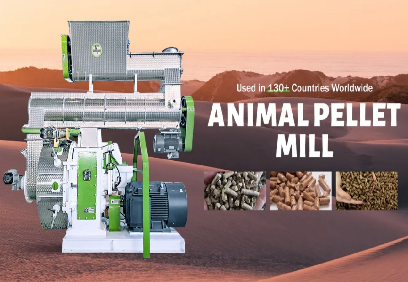 ring die feed pellet mill for sale