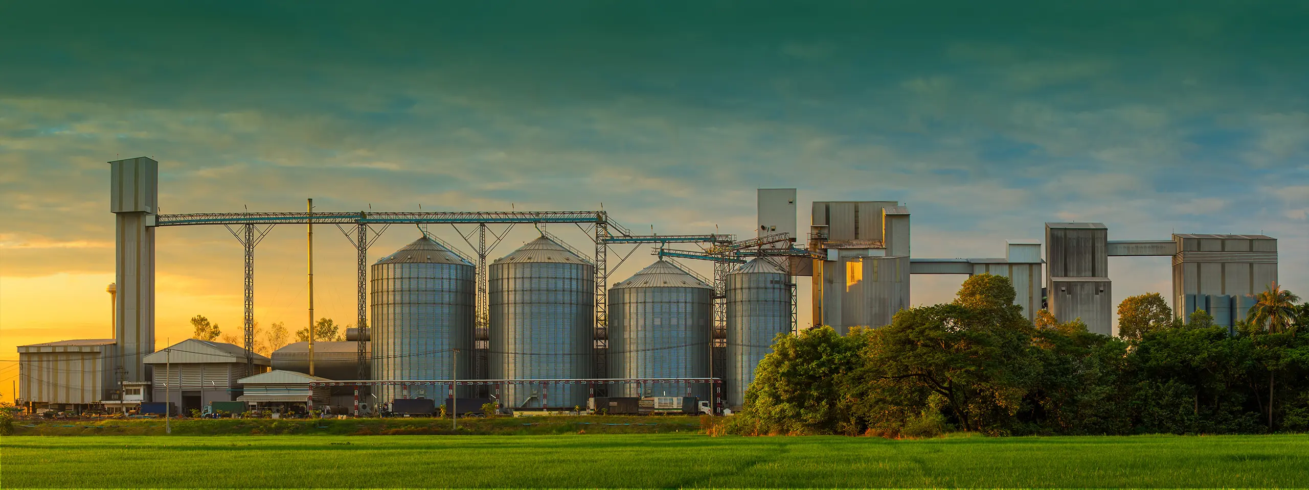 shrimp feed plant