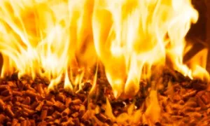 straw pellet as biomass fire