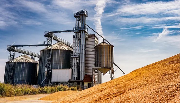 Animal feed production line