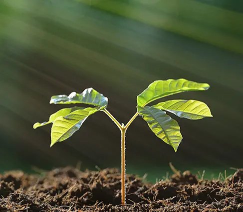 Organic Fertilizer Production Line