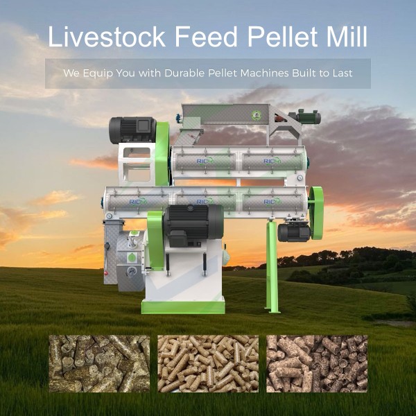 RICHI Livestock Feed Pellet Mill For Sale