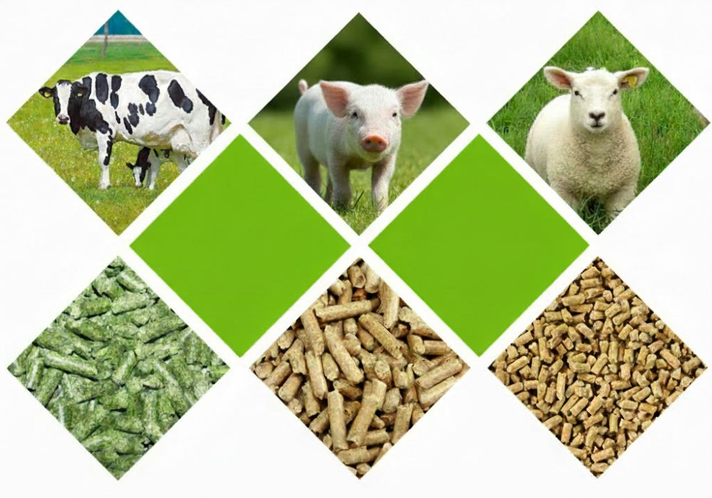 livestock feed pellet