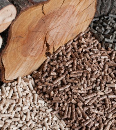 wood pellet