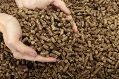 biomass wood pellets product