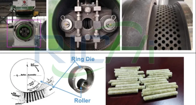 sawdust pellet machine pelletizing chamber