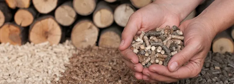 different wood pellets show in hands