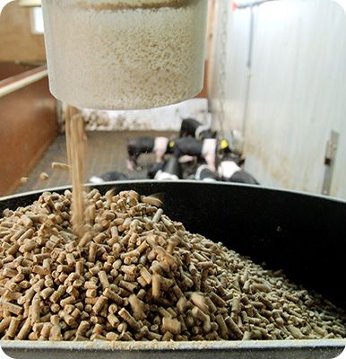Pellet products from poultry feed machines