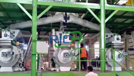 20 T/H Wood Pellet Plant in Bangladesh