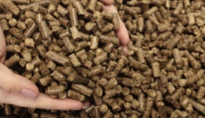 biomass wood pellets in hands