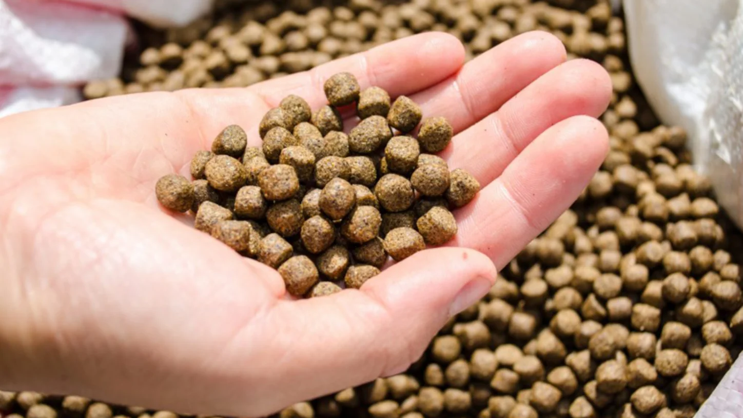 2 T/H Floating Fish Feed Machine for Sale in Australia