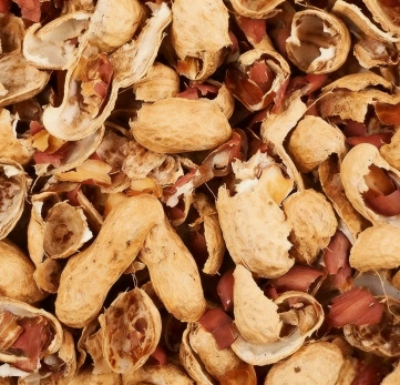 peanut shells