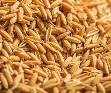 rice husks