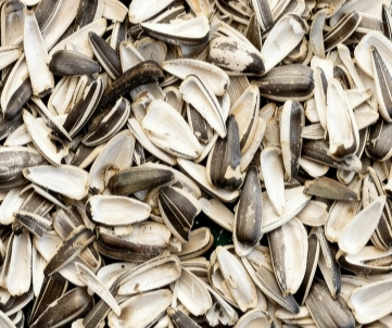 Sunflower seed shells