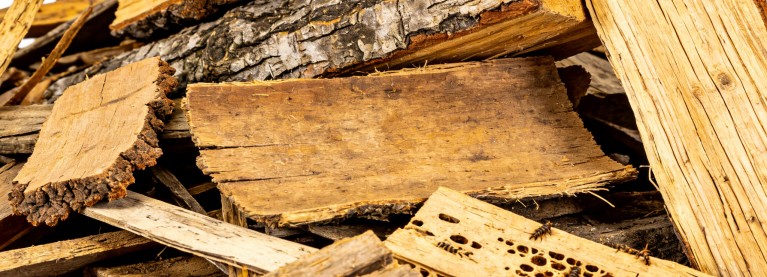 Wood Waste for Crushing